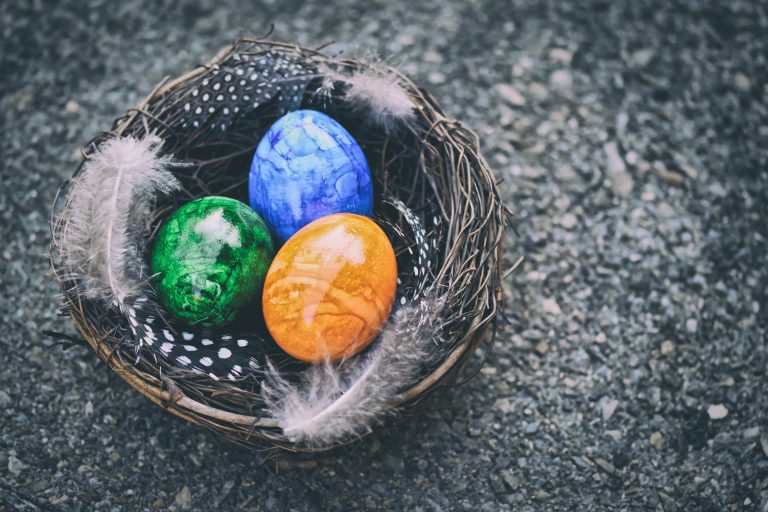 alexas_fotos-easter-eggs-5011031