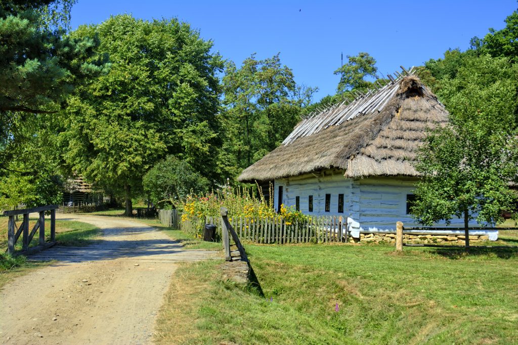 jarekgrafik-sanok-1003246