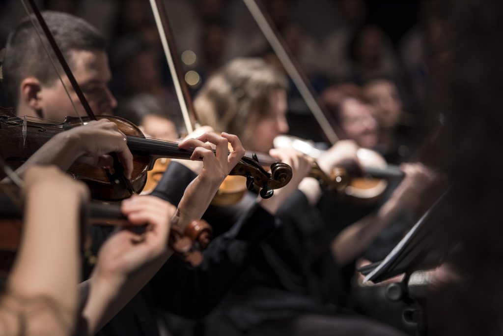 pexels-violins-1838390