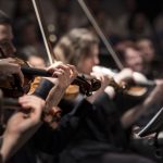 pexels-violins-1838390