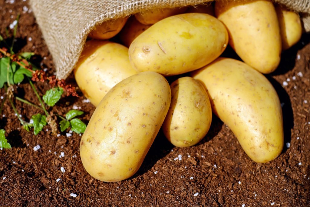 couleur-potatoes-1585075